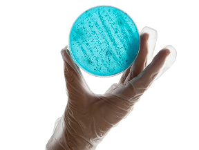 clinic compliant wellness products